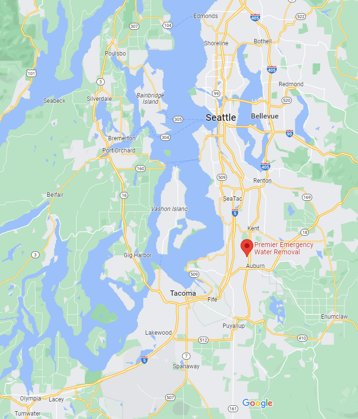 Image of the Seattle area and a company that helps people with flood damage and mold remediation