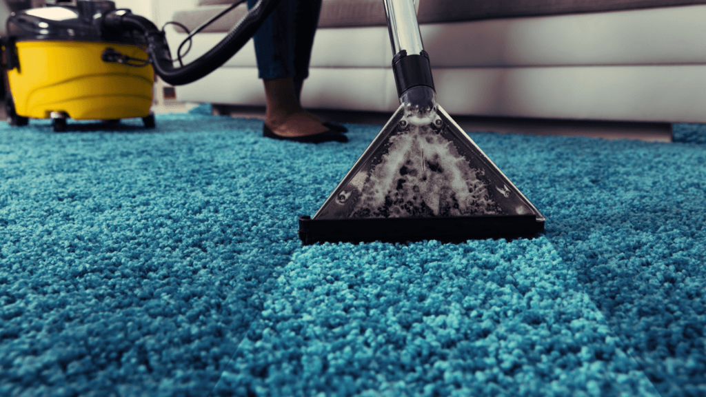 Image of a carpet cleaning technician