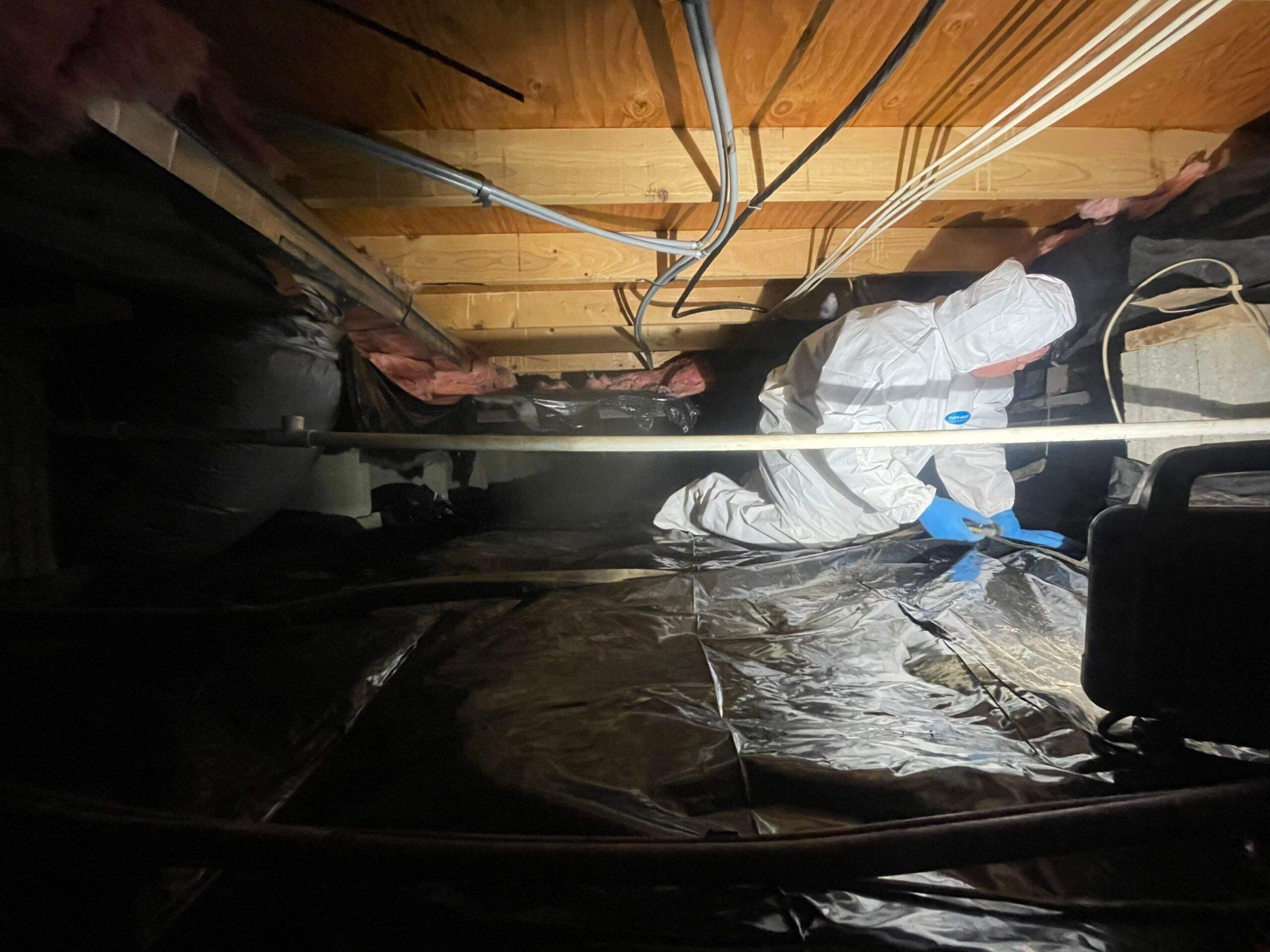 image of crawl space cleaning service