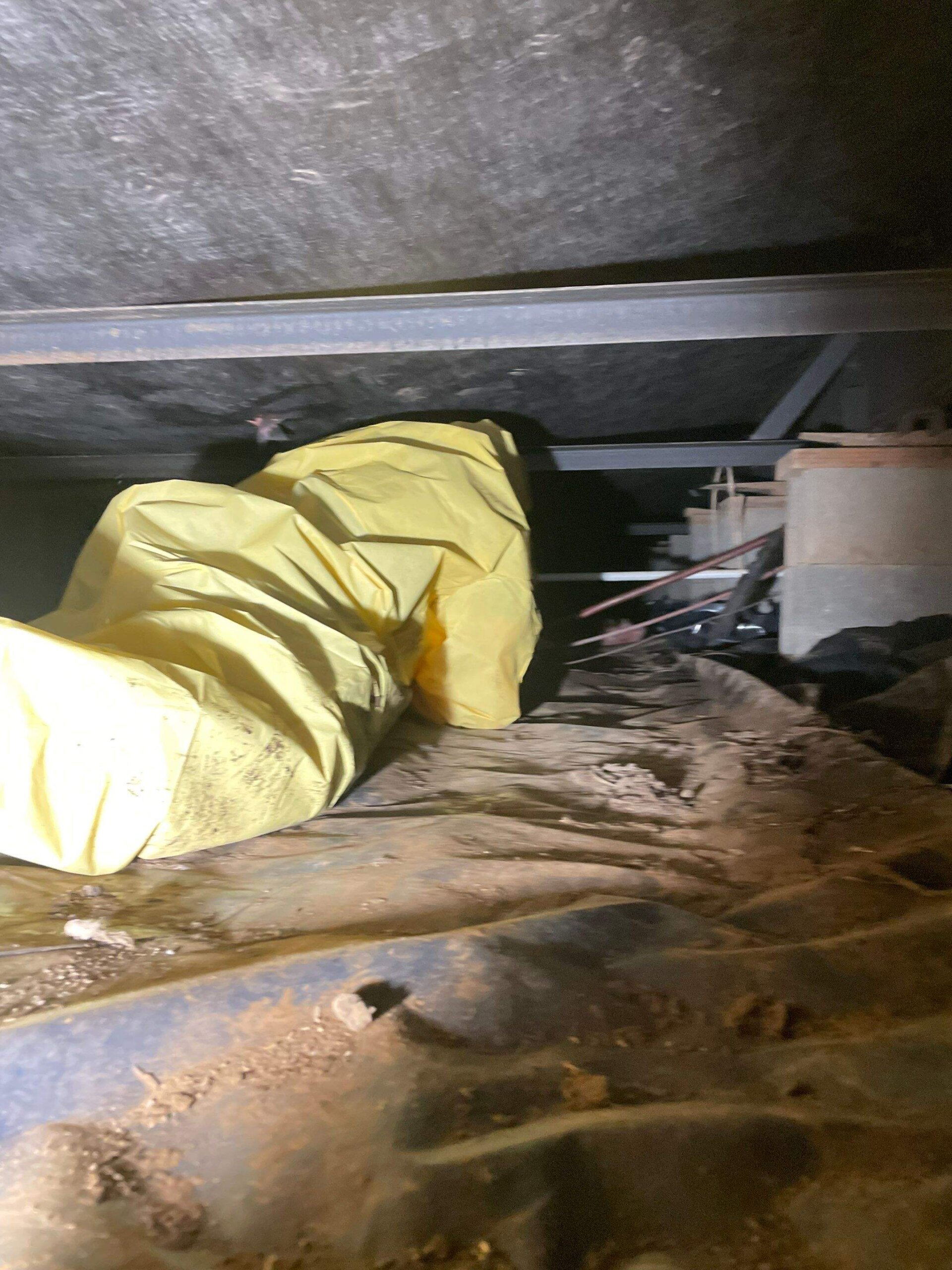 image of crawl space cleaning service by premier water removal