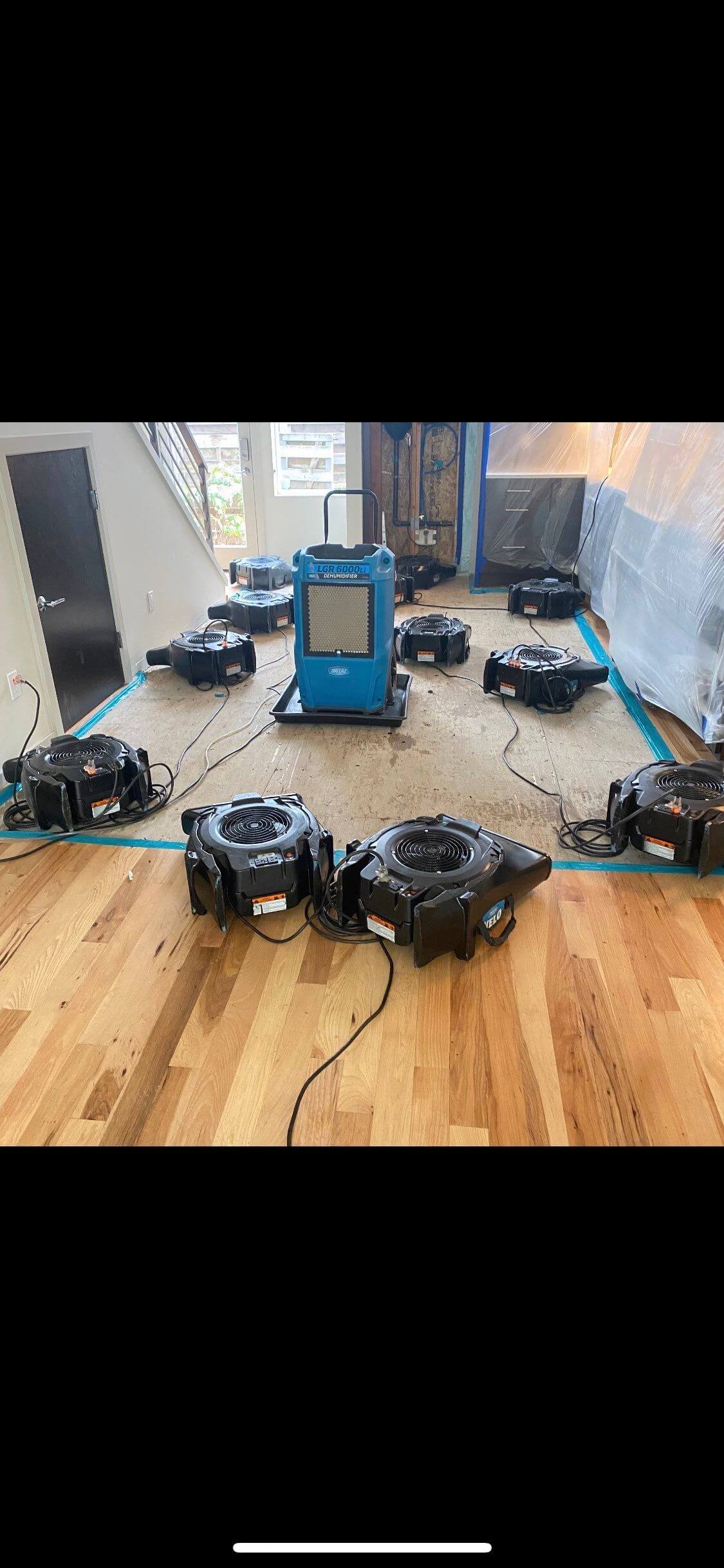 Picture of Hardwood Floor Drying in Seattle Washington home