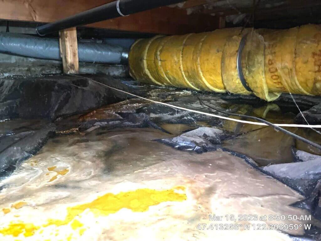Picture of a water pipe burst and cleanup service in Seattle