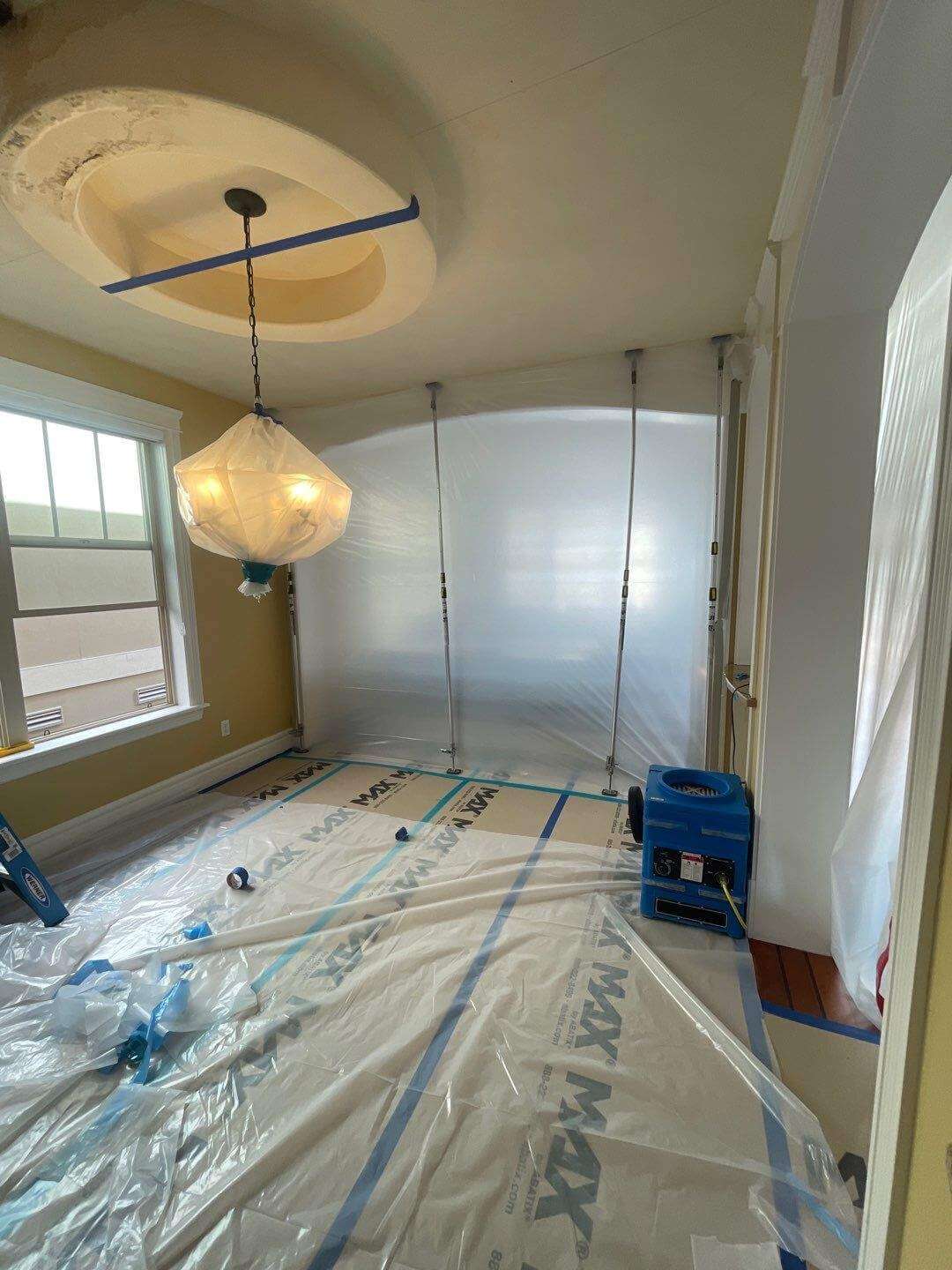 mold remediation services in Auburn, WA
