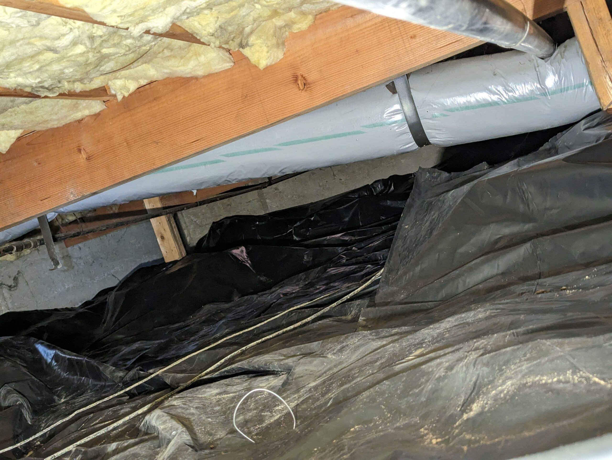 Image of Crawl Space Service by Premier Water Removal