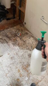 mold removal