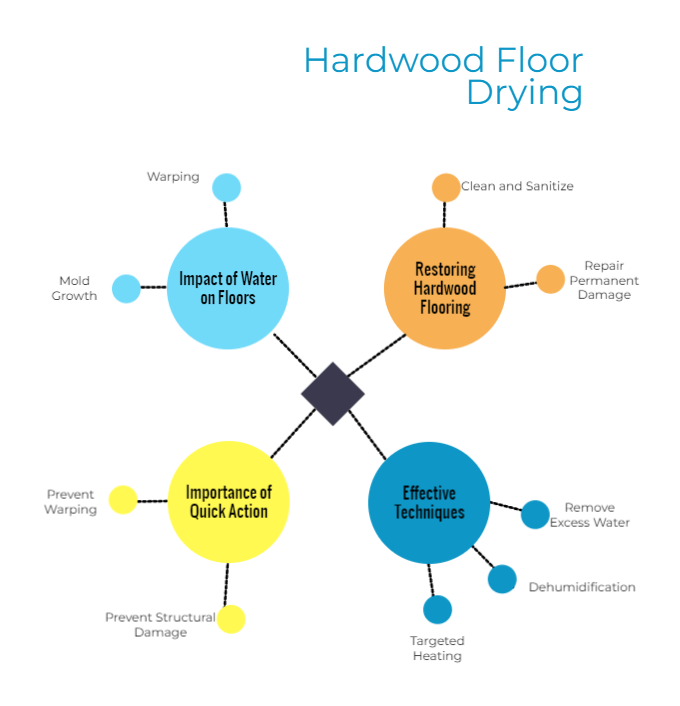Image of Hardwood Floor Drying Infographic by Premier Water Removal