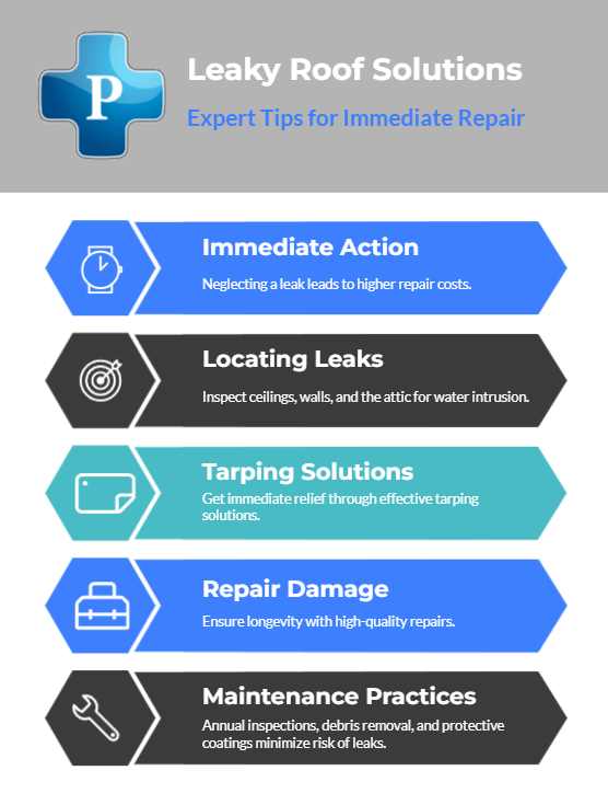 Image of Leaky Roof Infographic by Premier Water Removal