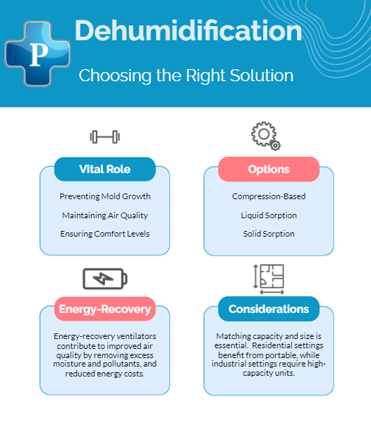 Image of Dehumidification Services Infographic