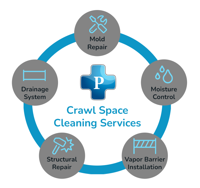 Image of Crawl Space Cleaning Services Infographic by Premier Water Removal