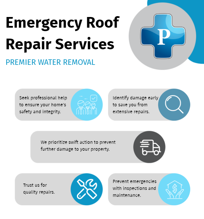 image of emergency roof repair infographic