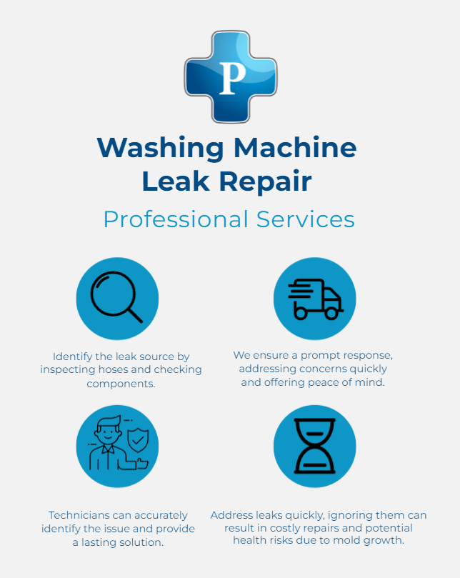 Image of Washing Machine Leak Repair Infographic