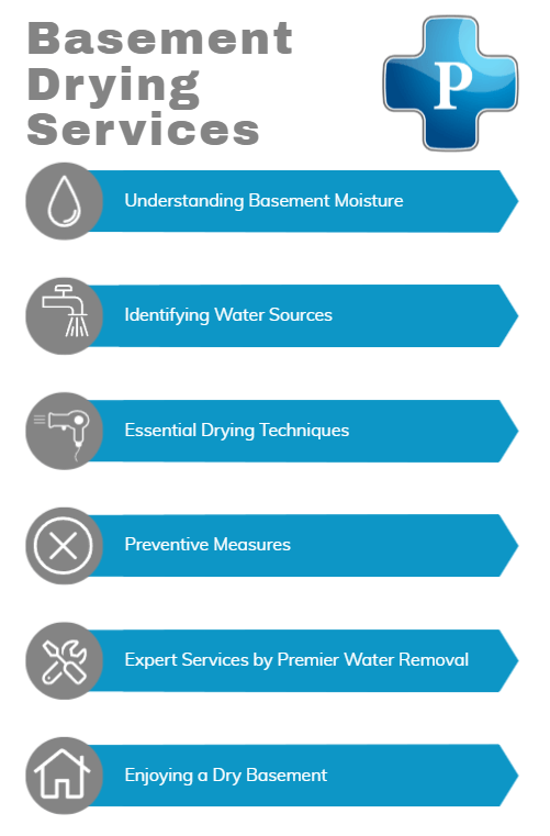 image of basement drying services infographic