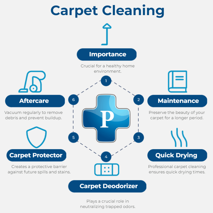 image of Carpet Cleaning Infographic by Premier Water Removal