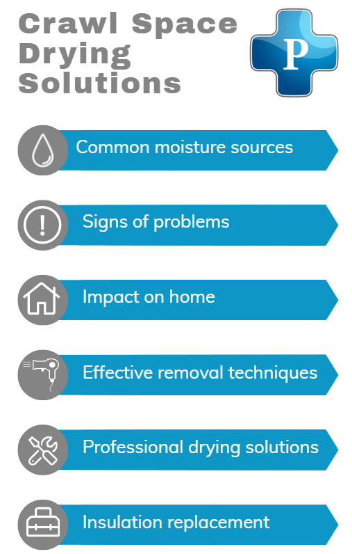 Infographic for crawl space drying services from Premier Water Removal