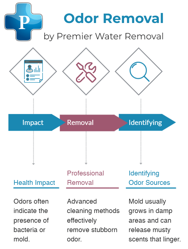 infographic for odor removal services