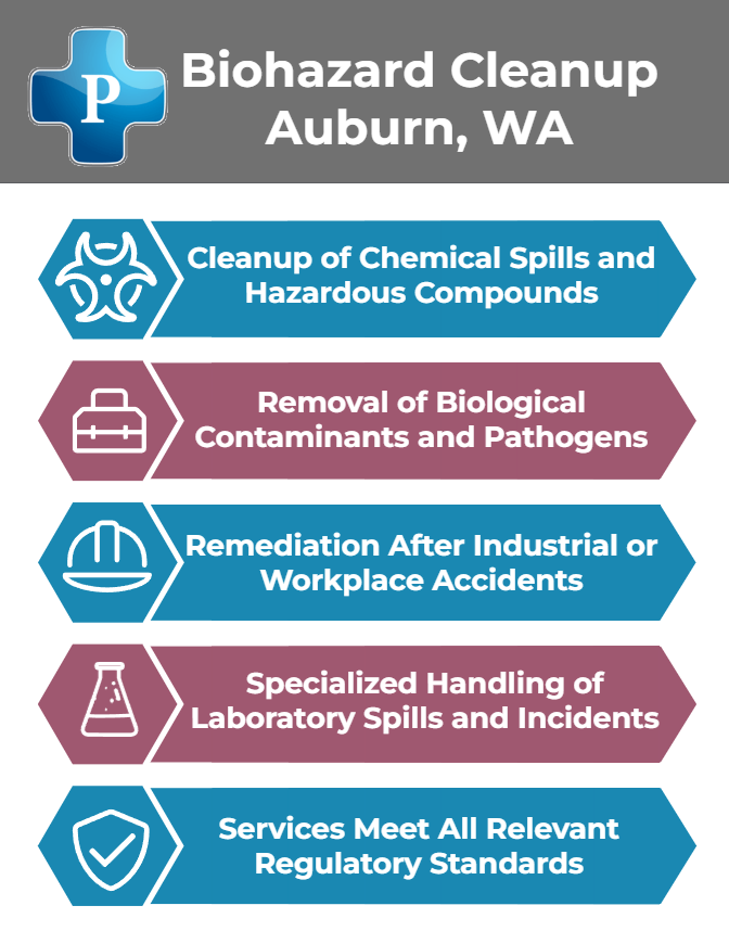 Infographic for Biohazard Cleanup in Auburn