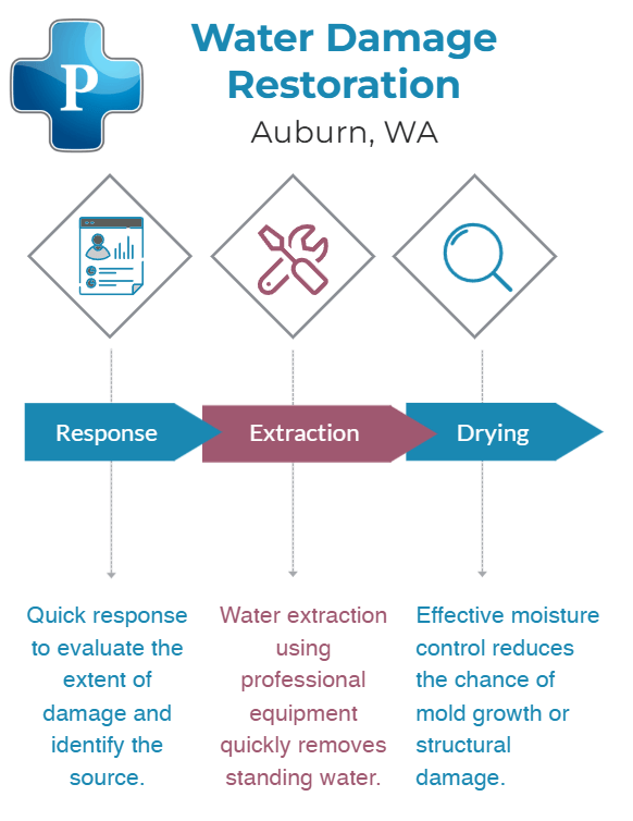 Infographic for water damage restoration services in Auburn, WA