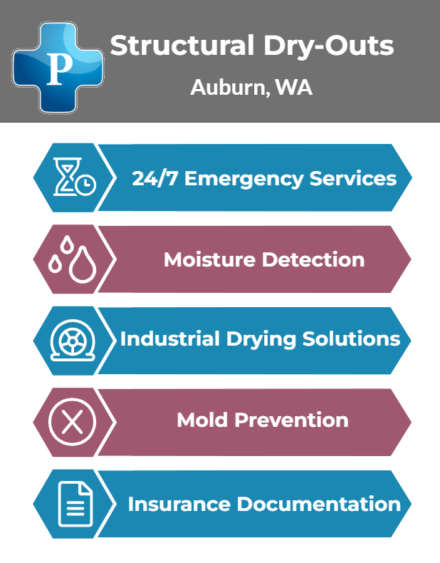 Auburn Structural Drying Infographic