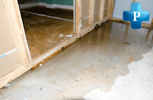 Auburn Emergency Structural Drying Services
