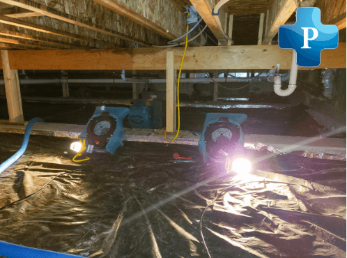 Auburn Structural Drying Water damage is more than just a surface level issue. If moisture is not properly removed, it can weaken structural integrity and lead to long term damage. Premier Water Removal specializes in structural drying, water damage restoration, and emergency dry out services, specifically designed to address Auburn’s environmental challenges.