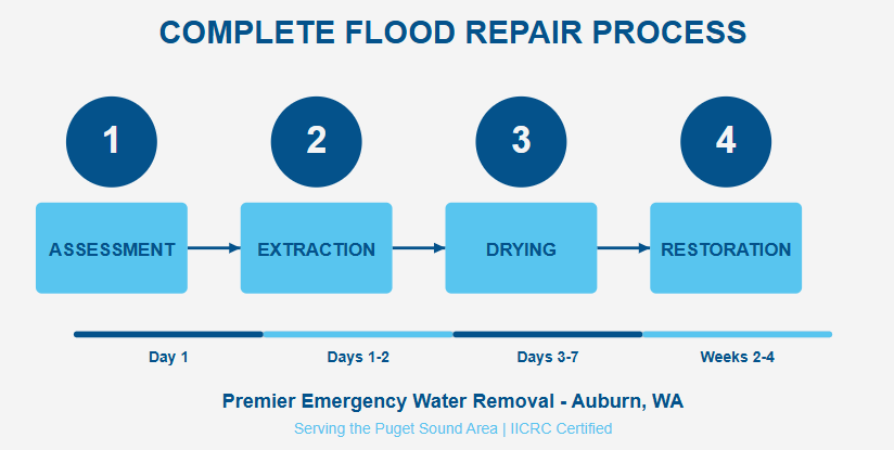 Complete Flood Repair Process