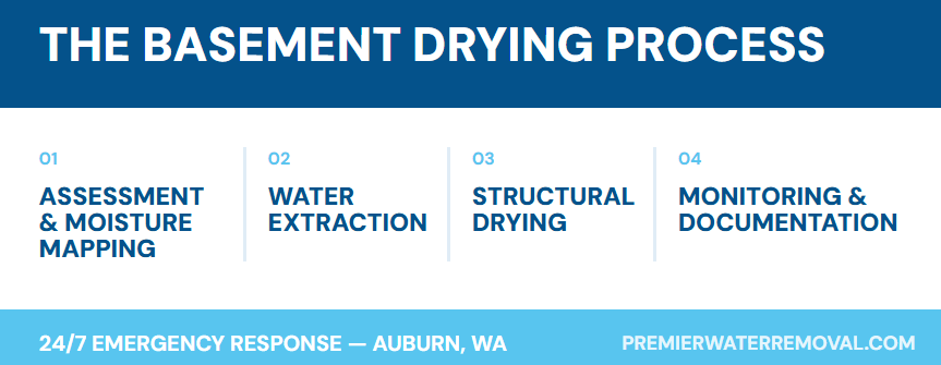 Basement Drying Process
