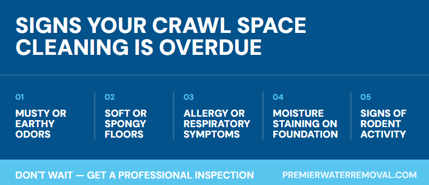 Signs Your Crawl Space Cleaning Is Overdue