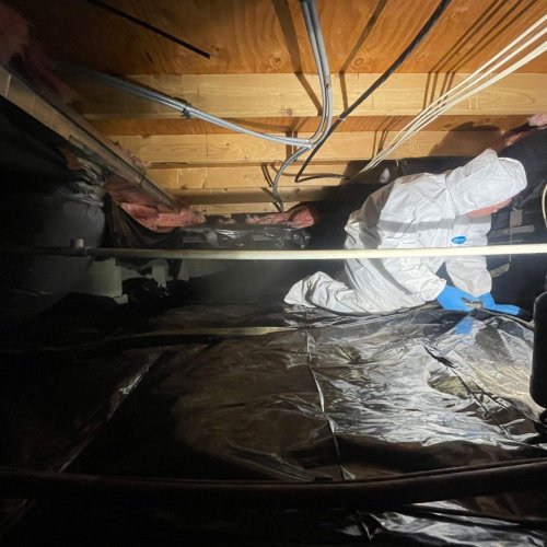 image of crawl space cleaning service