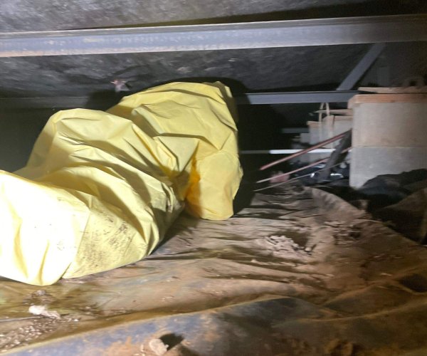 image of crawl space cleaning service by premier water removal