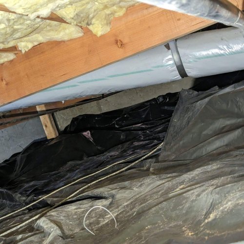 Image of Crawl Space Service by Premier Water Removal