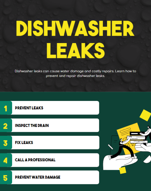Image of Dishwasher Leaking and Overflow Services Infographic