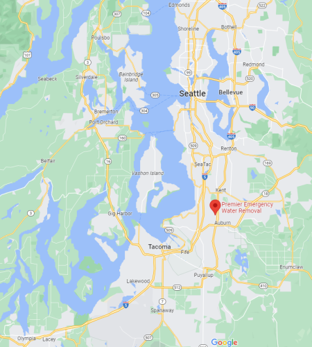 Image of the Seattle area and a company that helps people with flood damage and mold remediation