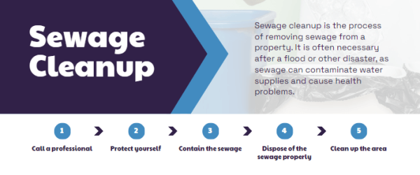 Image of Sewage Cleanup and Overflow Services Infographic